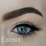 Freedom Pro Brow Pomade ï¿½ Ebony - Afbeelding 2