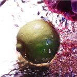 Guerlain La Petite Robe Noire EDT W 100 ml - Afbeelding 3