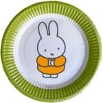 Nijntje Feestpakket - Groen - 16 Borden - 20 Servetten - 1 Vlaggenlijn