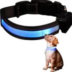 Pet Safety Glow LED-Hondenriem USB-Oplaadbaar Veiligheidshalsband - Medium 35.5 - 48.5 cm - Blauw