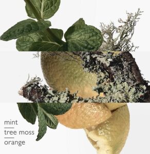 Hermes - Eau d'Orange Verte - Eau de cologne - 200ML - Afbeelding 2