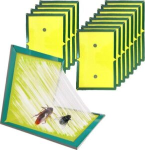 100 stuks - Maxenza Muizen Lijmplanken – Lijmplaat Muizenval – Muizenvallen voor binnen  – 100% pakkans - Afbeelding 4