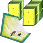 12 stuks lijmvallen voor kakkerlakken lokstof aas - geschikt voor keuken en woonkamer