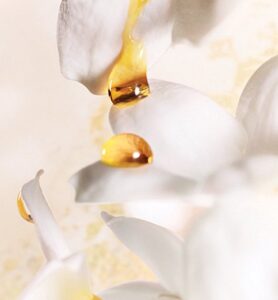 Dior J'adore Eau De Perfume Spray 150ml - Afbeelding 2