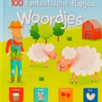100 fantastische flapjes - Woordjes