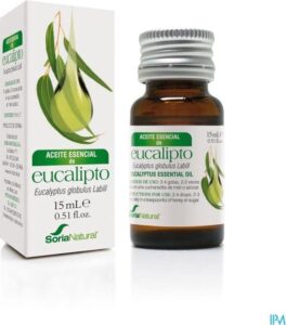 Eucalyptus Globulus Sor - Afbeelding 2