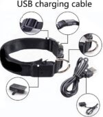 Pet Safety Glow LED-Hondenriem USB-Oplaadbaar Veiligheidshalsband - Medium 35.5 - 48.5 cm - Blauw - Afbeelding 6