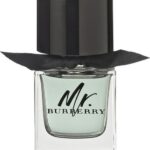 Mr. Burberry Eau de Toilette