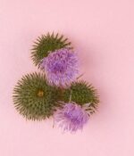 NIVEA Naturally Good Anti-Age Dagcreme 50 ml - Afbeelding 4