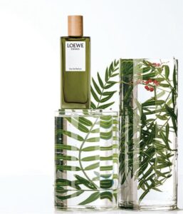 Loewe - Herenparfum - Esencia - Eau de parfum 100 ml - Afbeelding 3