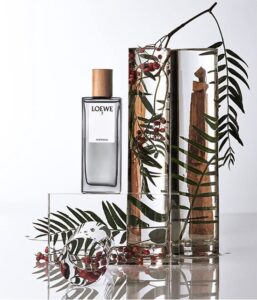 Loewe - Herenparfum - 7 Anonimo - Eau de parfum 100 ml - Afbeelding 3