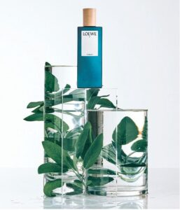 Loewe - Herenparfum - 7 Cobalt - Eau de parfum 100 ml - Afbeelding 4