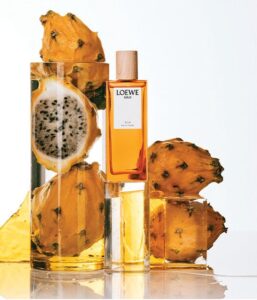 Loewe - Damesparfum - Solo Ella - Eau de toilette 100 ml - Afbeelding 4