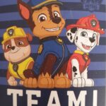 Paw Patrol Fleece deken - Plaid - 120 x 140 cm