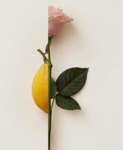 BACK IN STOCK  Burberry My Burberry Blush 30ml EDP Spray - Afbeelding 4