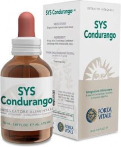 Yogi Tea Ginkgo 17 X 1,8g - Afbeelding 2