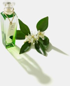 Adolfo Dominguez - Damesparfum Agua Fresca Azahar Adolfo Dominguez EDT - Vrouwen - 120 ml - Afbeelding 4