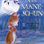 In De Maneschijn
