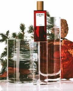 Loewe - Herenparfum - Solo Cedro - Eau de toilette 100 ml - Afbeelding 3