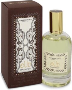 Uniseks Parfum Enrico Gi EDP Oud Magnifico (100 ml) - Afbeelding 4