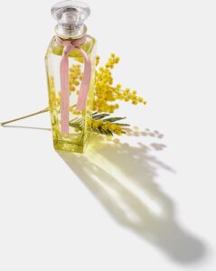 Damesparfum Agua Fresca De Mimosa Coriandro Adolfo Dominguez EDT (120 ml) - Afbeelding 4