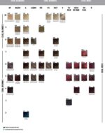 Goldwell Topchic Tube 60 ml 6VV - Afbeelding 2