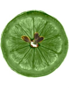 Fructis Strength & Shine 2 In 1 Shampoo By Garnier 360 Ml - Afbeelding 3