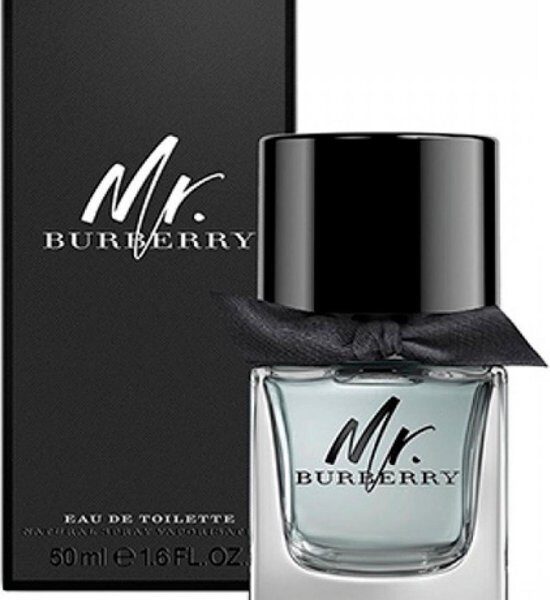 Burberry Mr Burberry - 100 ml - eau de toilette spray - herenparfum