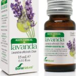 Lavandula Officinalis Sor