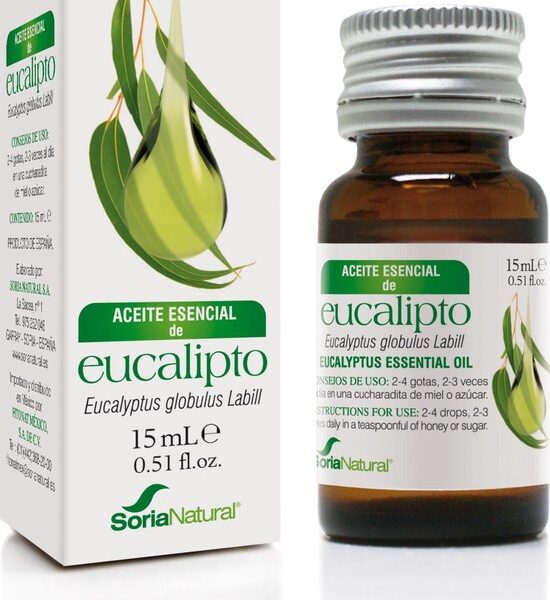 Eucalyptus Globulus Sor