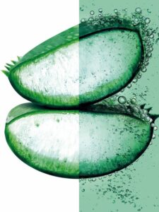 Fructis Hair Food Aloe Vera Hydrating Mask By Garnier 390 Ml - Afbeelding 3