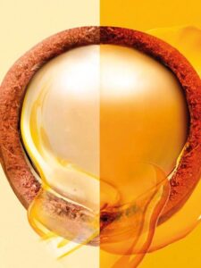 Shampoo Garnier Fructis Hair Food 350 ml - Afbeelding 3