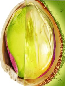 Haarmasker Hidra Liso Garnier (300 ml) - Afbeelding 3