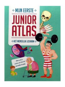 Mijn eerste junior atlas - Het Menselijk Lichaam - Afbeelding 58