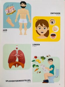 Mijn eerste junior atlas - Het Menselijk Lichaam - Afbeelding 30