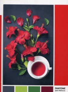 Clementoni Legpuzzel - Pantone Puzzle Collectie - Red Hibiscus - 1000 Stukjes, puzzel volwassenen - Afbeelding 2