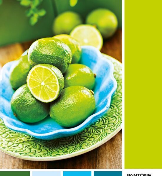 Clementoni Legpuzzel - Pantone Puzzle Collectie - Lime Punch - 1000 stukjes, puzzel volwassenen