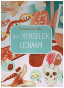De wondere wereld - Het menselijk lichaam - Boek - Afbeelding 24