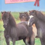 Vriendenboekje Paarden