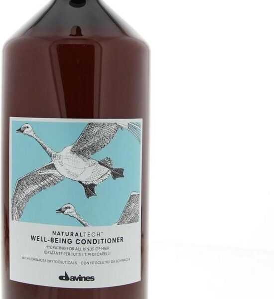 Conditioner Davines NaturalTech™ Moisturizing 1 L