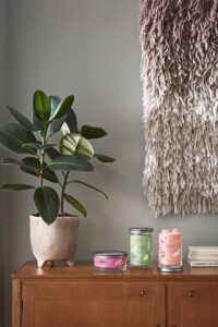 Yankee Candle - Art In The Park Signature 5-Wick Tumbler - Afbeelding 2