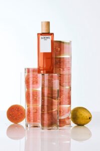 Loewe - Herenparfum - Solo - Eau de toilette 100 ml - Afbeelding 3