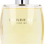 BURBERRY by Burberry 100 ml - Eau De Toilette Spray