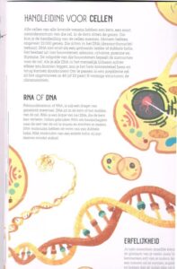 De wondere wereld - Het menselijk lichaam - Boek - Afbeelding 3