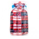Corysan Hot Water Bottle Lined 2 Liters 1 Pc