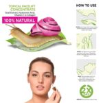 BiovEne Active Renewal Ultra Regenerating Facial Serum Treatment 30 Ml - Afbeelding 2