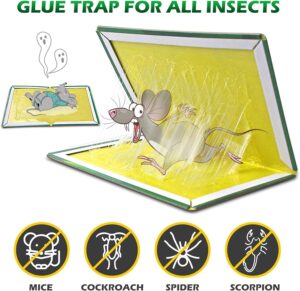 100 stuks - Maxenza Muizen Lijmplanken – Lijmplaat Muizenval – Muizenvallen voor binnen  – 100% pakkans - Afbeelding 8