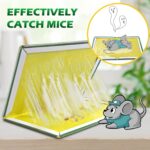 Maxenza Muizen Lijmplanken – Lijmplaat Muizenval – Muizenvallen voor binnen – 20 stuks – 100% pakkans - Afbeelding 5