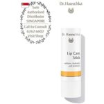 Lip Care Stick   Lip Protection Stick 4 9 g