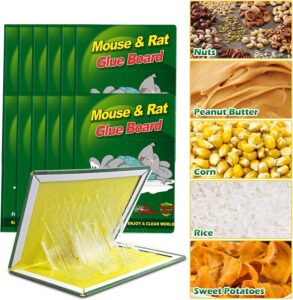 100 stuks - Maxenza Muizen Lijmplanken – Lijmplaat Muizenval – Muizenvallen voor binnen  – 100% pakkans - Afbeelding 12